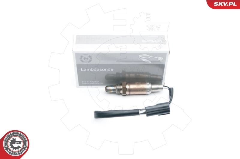 Oxygen Sensor